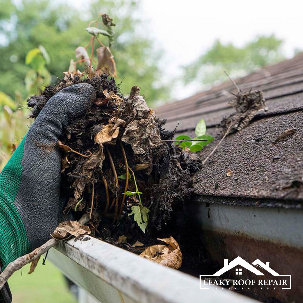 Gutter Cleaning Service in Sydney